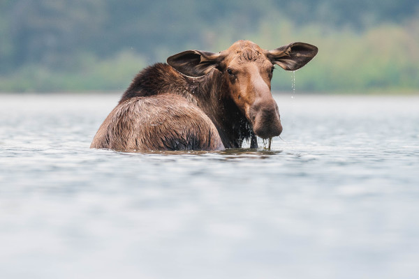 Life // 7 by Dylan James Lockard