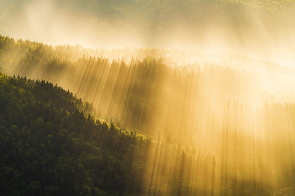 Dylan James Lockard // 6 by Dylan James Lockard