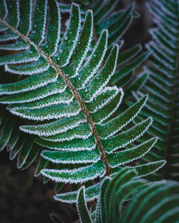 Dylan James Lockard // 7 by Dylan James Lockard