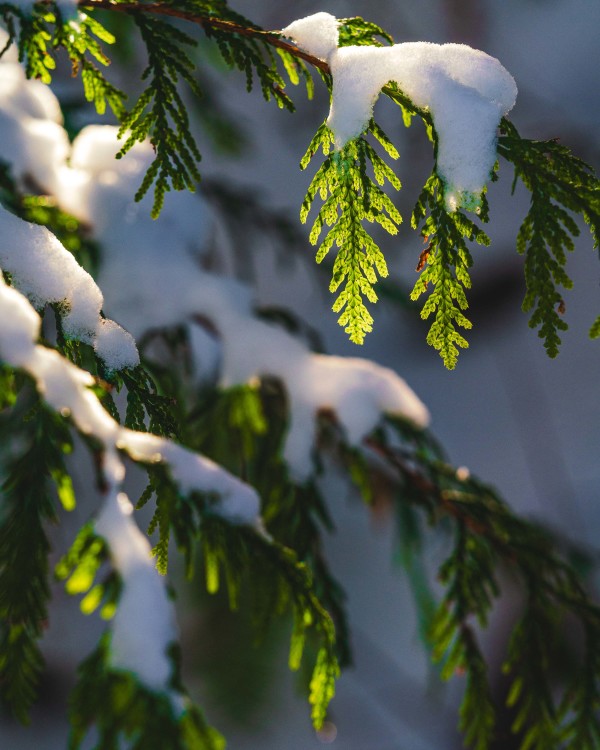 Dylan James Lockard // 4 by Dylan James Lockard