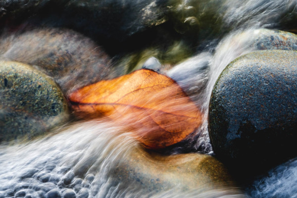 Dylan James Lockard // 34 by Dylan James Lockard