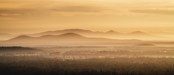 Dylan James Lockard // 31 by Dylan James Lockard