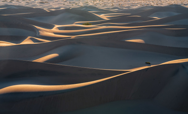 Dylan James Lockard // 27 by Dylan James Lockard