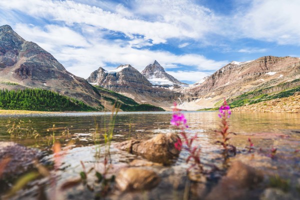 Dylan James Lockard // 20 by Dylan James Lockard