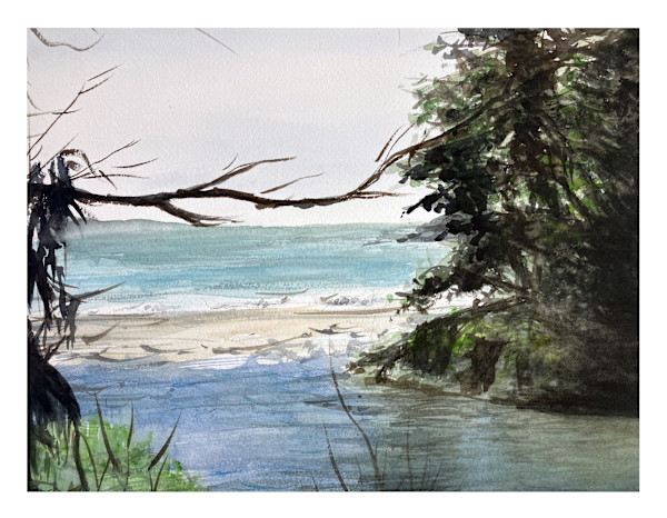 Branch Over Water by Ben Bull