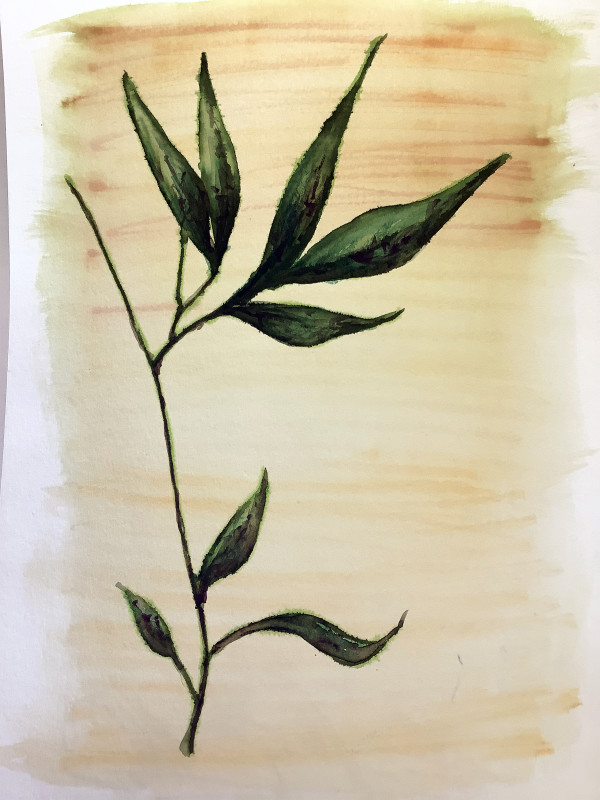 Leaves on Tan by Ben Bull
