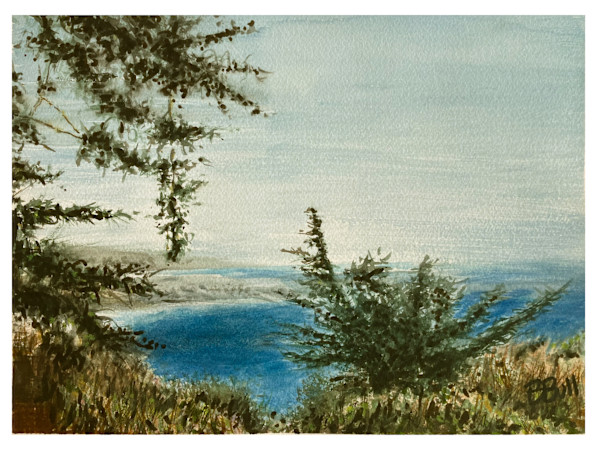 Ragged Point by Ben Bull