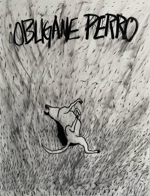 Obligame Perro by PAUL ACEVEDO GOMEZ