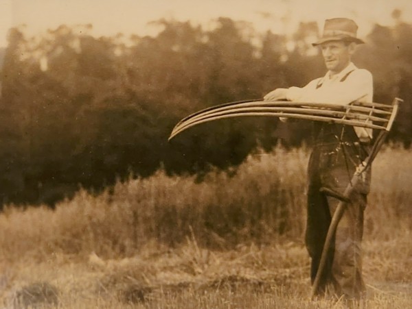 Farmer working the field