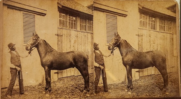 Man with Horse