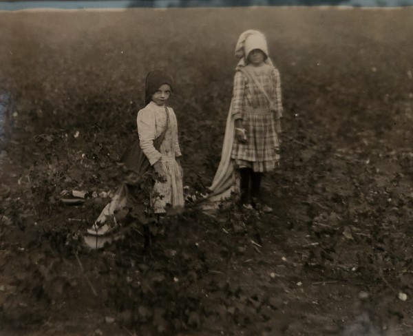 Girls in Cotton Field, Texas, 1913 by Lewis Hine