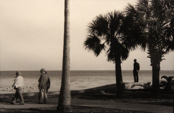 Old Man on Seawall, St. Petersburg, FL by Nin McQuillen