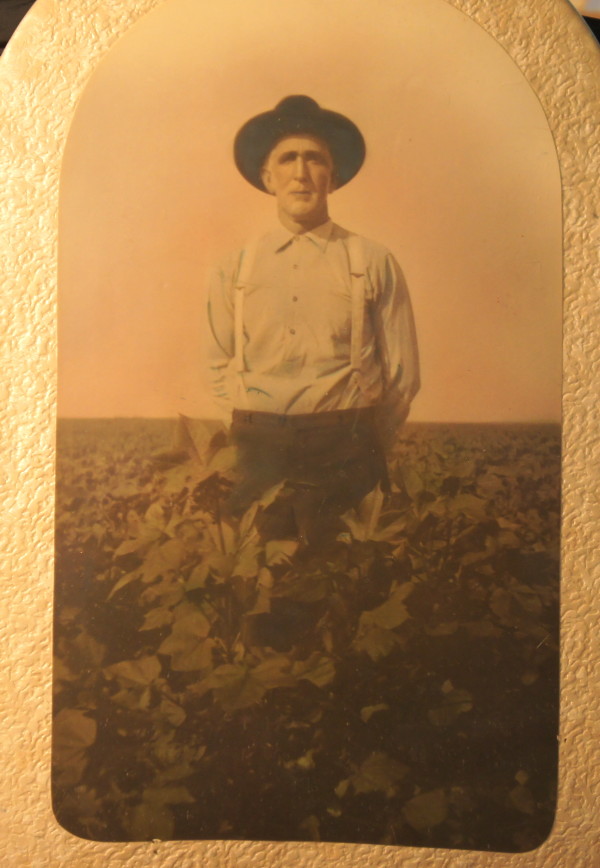 Farmer in his field