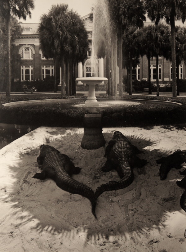 Welcome to Higher Education by Jerry Uelsmann