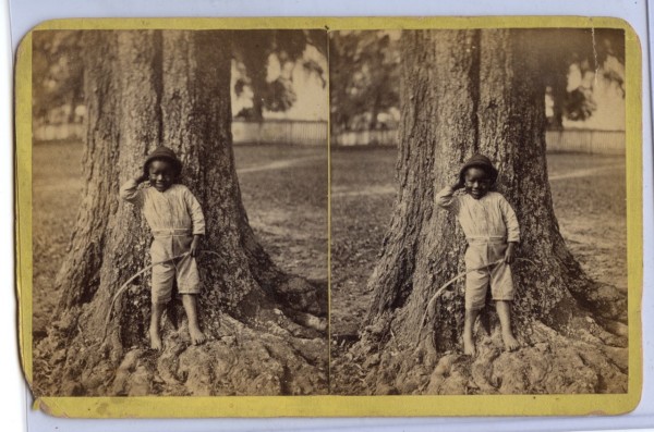 Boy and tree, Florida