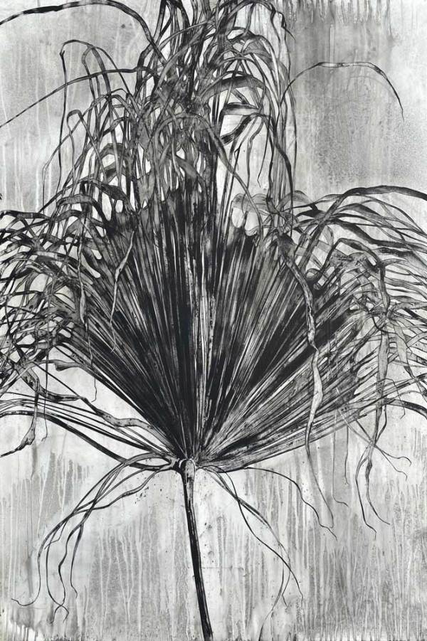 Palm Frond II by Heidi Jung