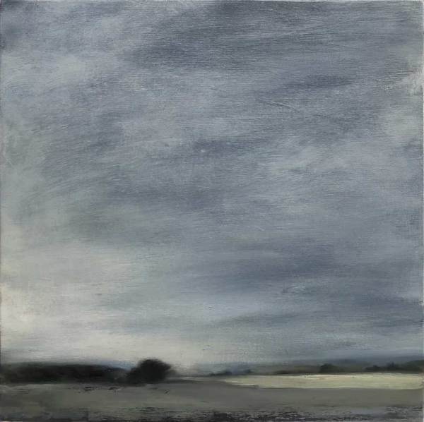 Chronicles #14 by Debra Salopek
