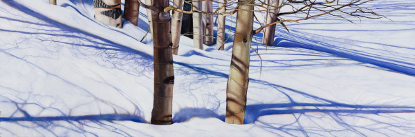 Snow Cut by Ricki Klages