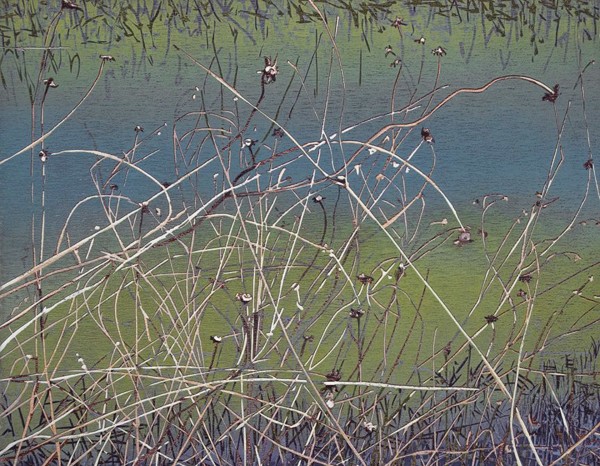 Marsh by Jean Gumpper
