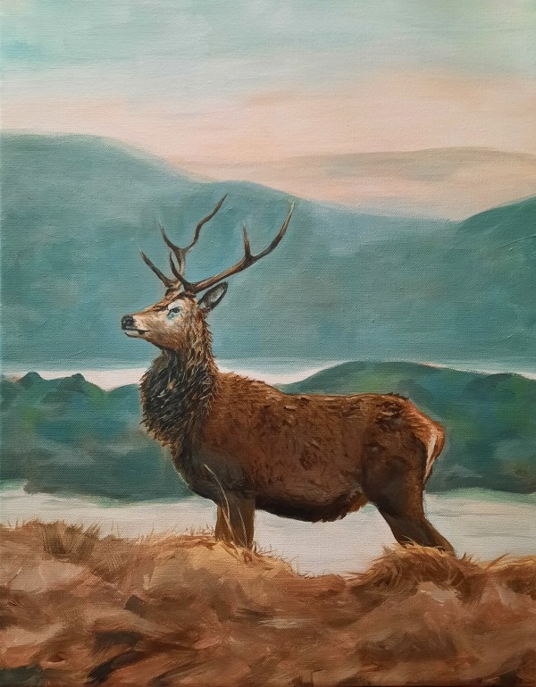 Elk by Gabriela Morales