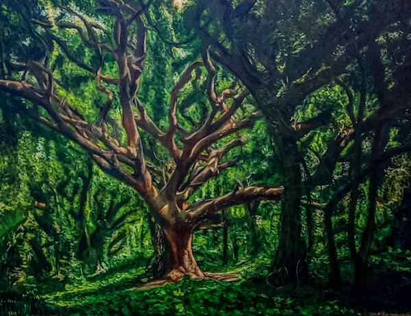 The Legacy of the Tree by Gabriela Morales, Image 1.