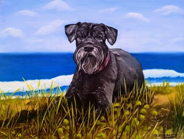 The Schnauzer by Gabriela Morales