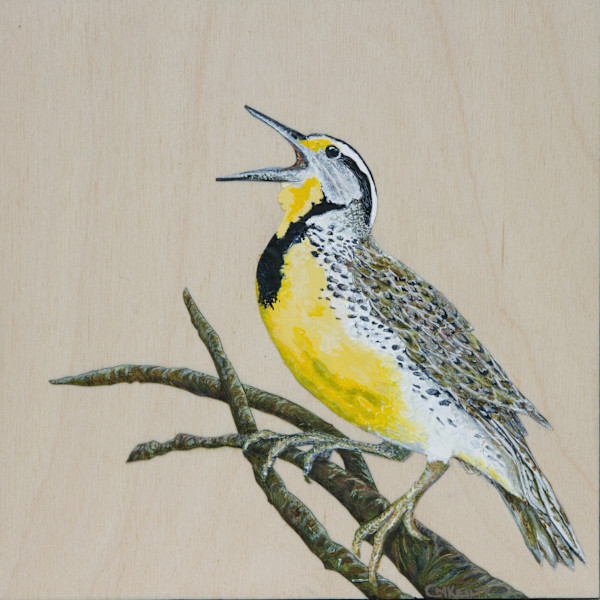 Meadowlark by Cecilia Keilty