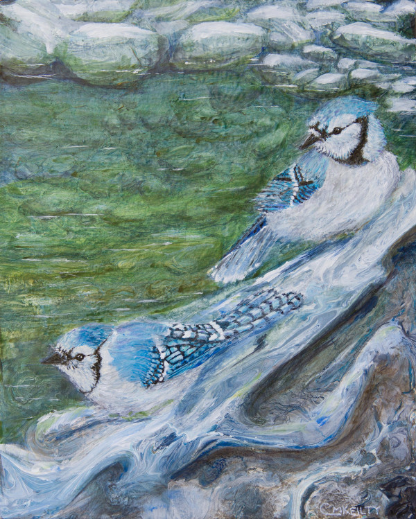 Winter Jays by Cecilia Keilty
