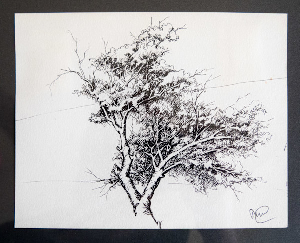 Pen & Ink by Molly Coy ARTIST  .  Alan Coy PHOTOGRAPHER
