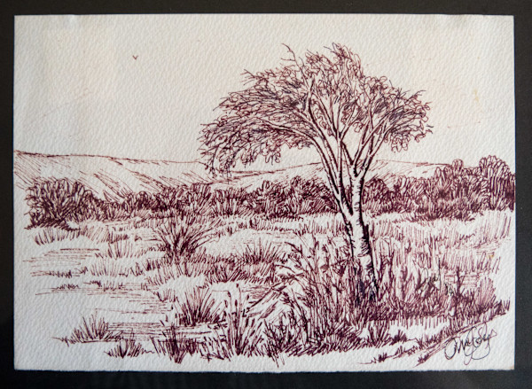 Pen & Ink by Molly Coy