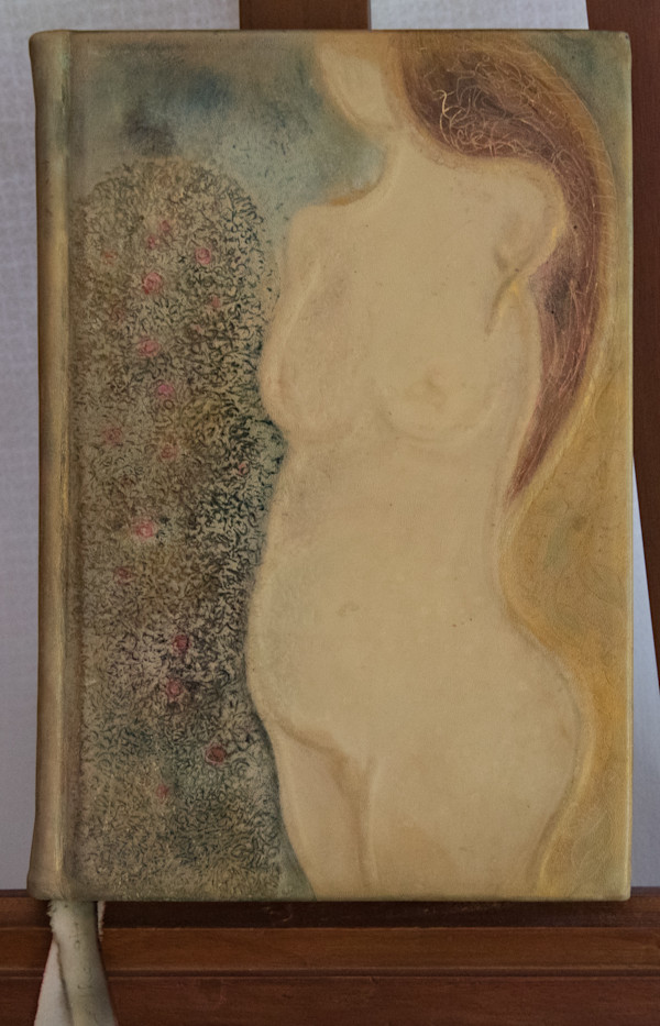 Body Book by Molly Coy