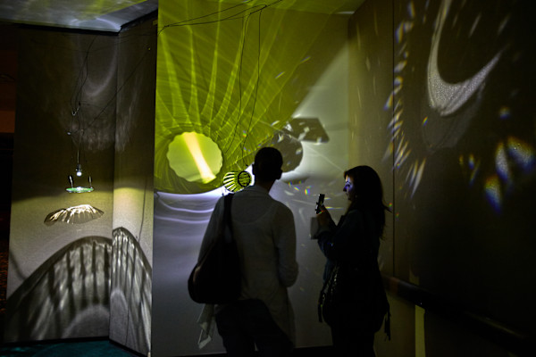 Crystal Seeing  Art EXPO 2015 by Dana Major