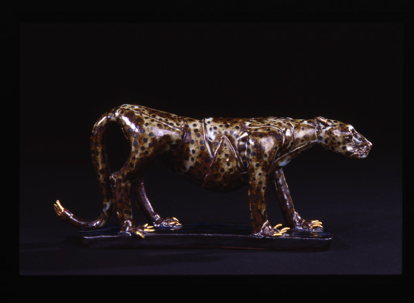 Leopard by Dana Major