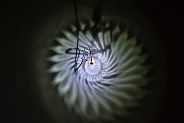 Dream Tea by Dana Major, Image 1.