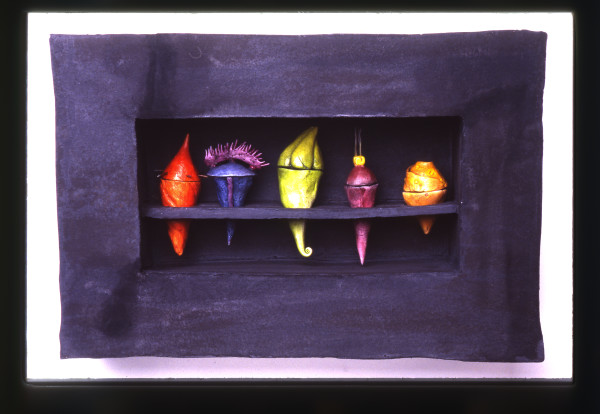 Pod Shadow Box by Dana Major