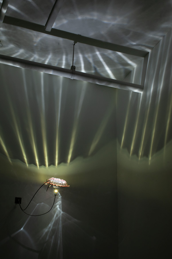 Precarity by Dana Major, Image 1.