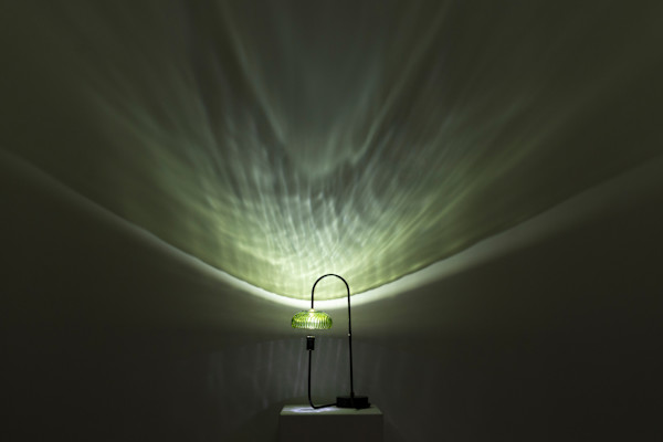 Vernation by Dana Major, Image 1.