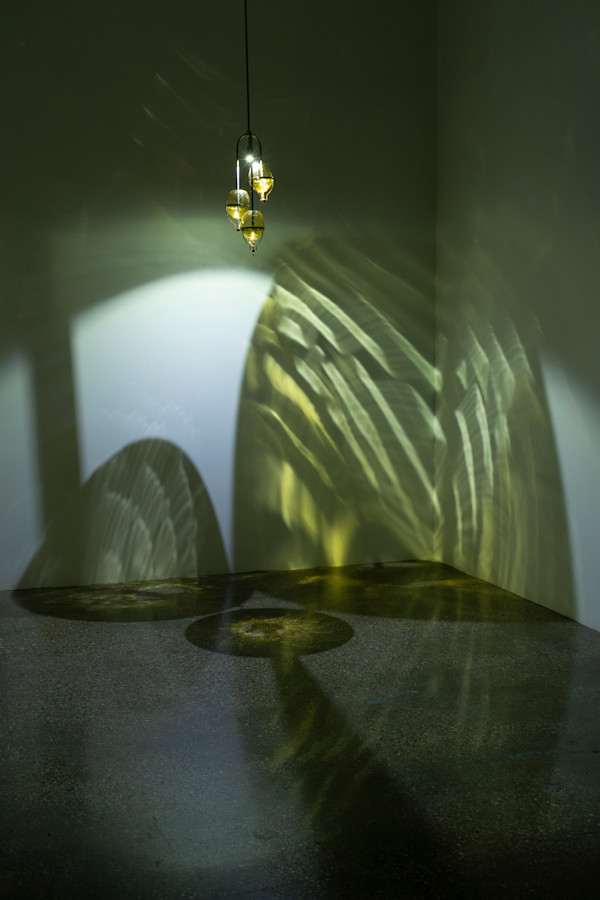 Medici by Dana Major, Image 1.