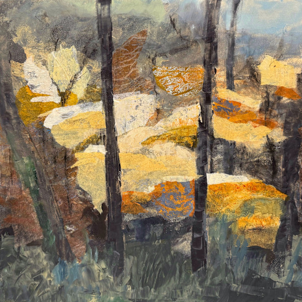 Light Well in the Forest by Kate Uraneck