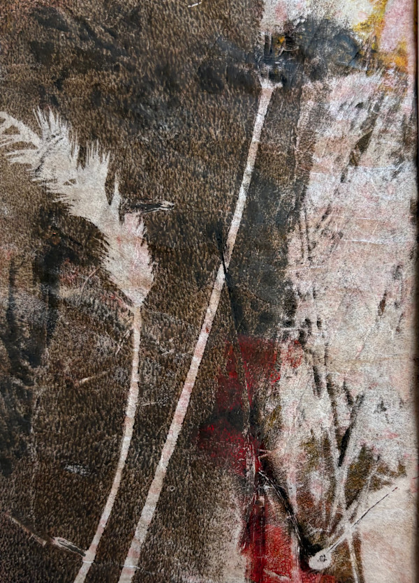 Seasonal Divide by Barbara  Abram
