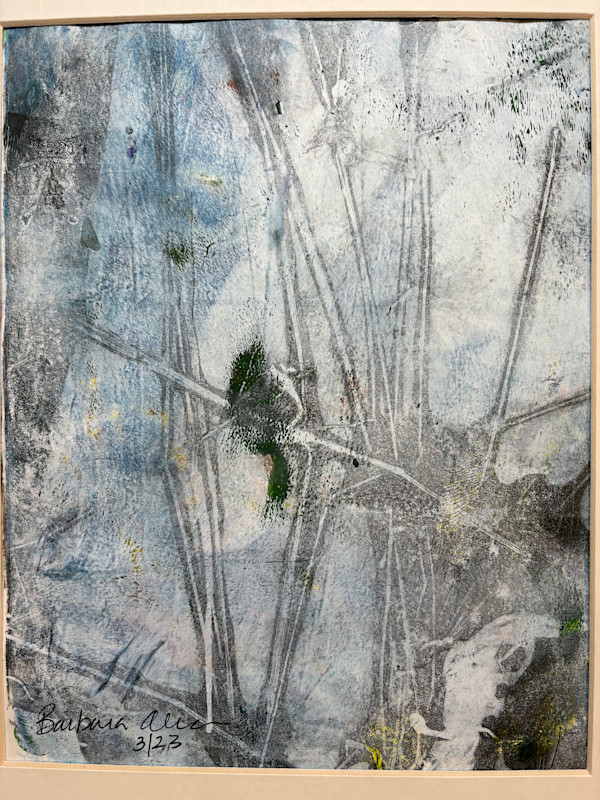 Is that a bird? by Barbara  Abram