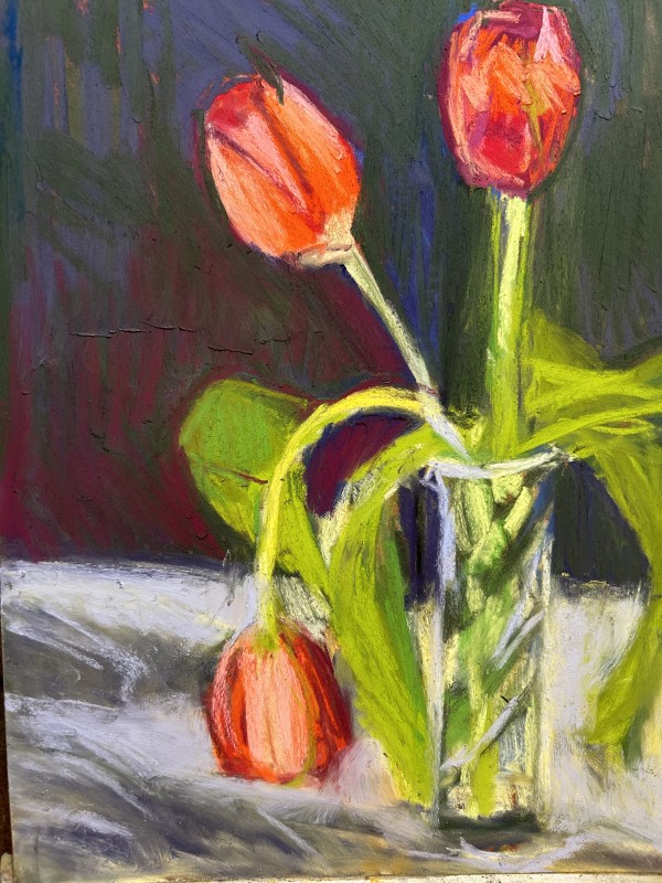 Tulips by Barbara  Abram