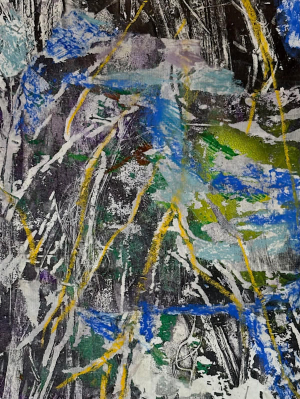 Hidden Lake by Barbara  Abram