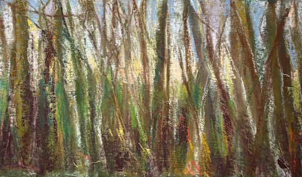 I can see the horizon by Barbara  Abram