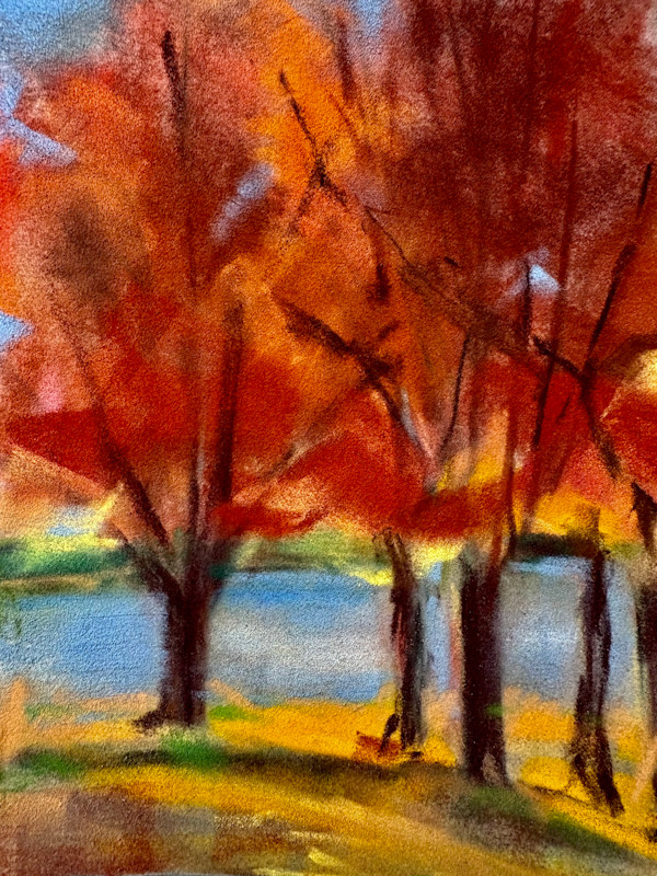 Fall Velvet by Barbara  Abram