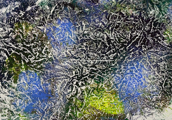 Treetops by Barbara  Abram, Image 1.