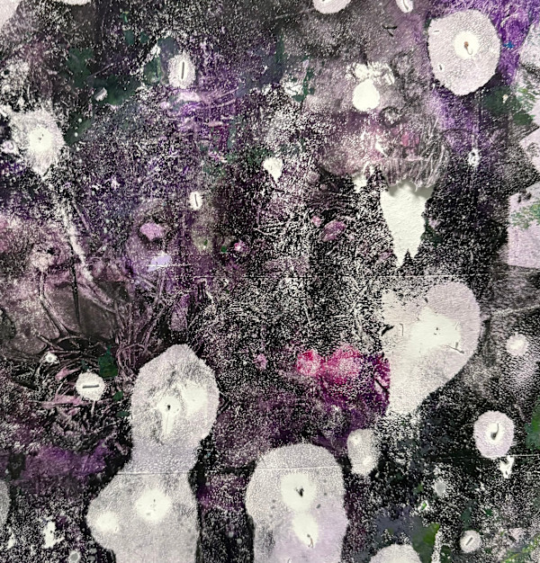 Alien Starlight by Barbara  Abram, Image 1.