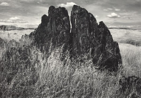 Metamorphic Rock and Summer Grass, Foothills, The Sierra Nevada, California by Ansel Adams