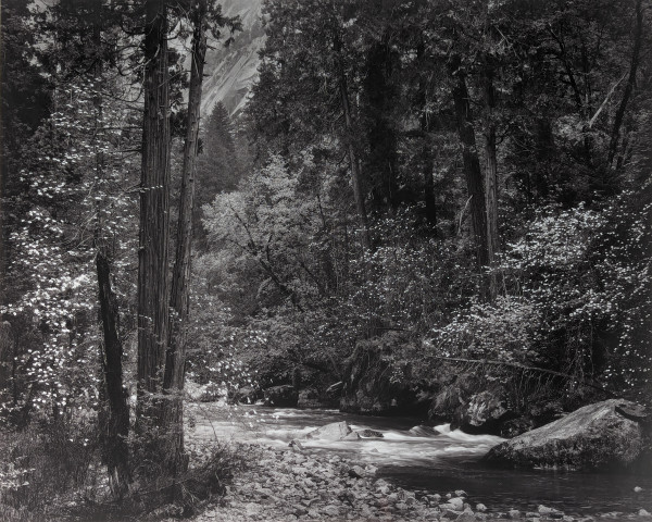 Tenaya Creek, Dogwood Rain by Ansel Adams