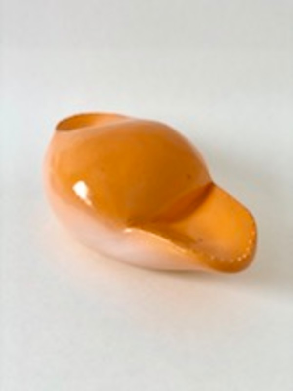 Orange Bubble Flora by Nikki Renee Anderson
